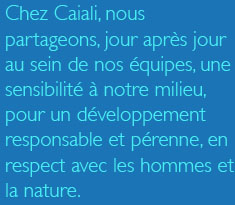 cadre1